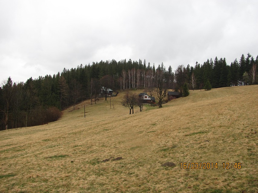 img00026.jpg