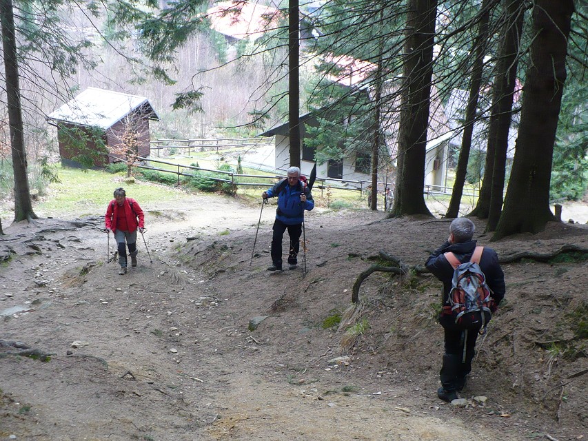 img00004.jpg