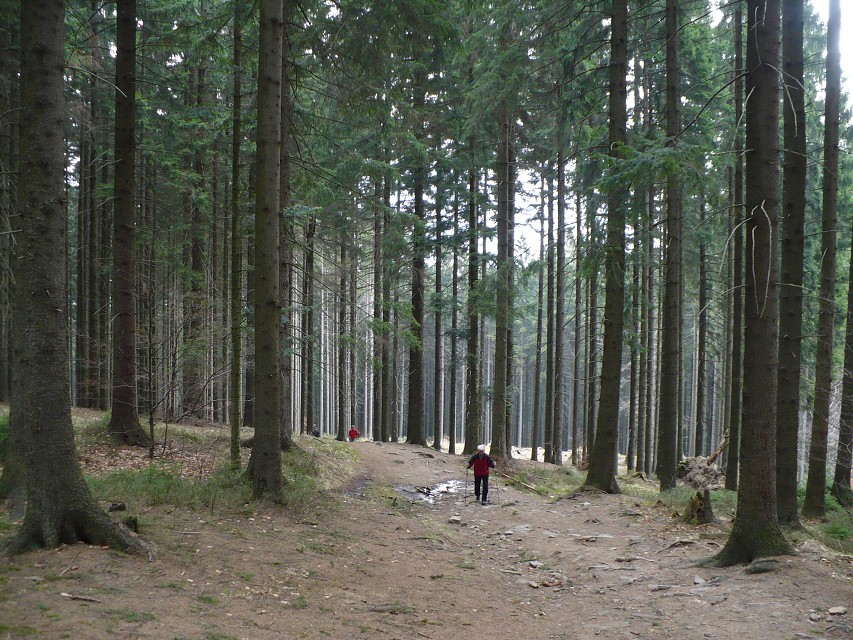 img00005.jpg