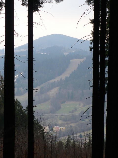 img00006.jpg