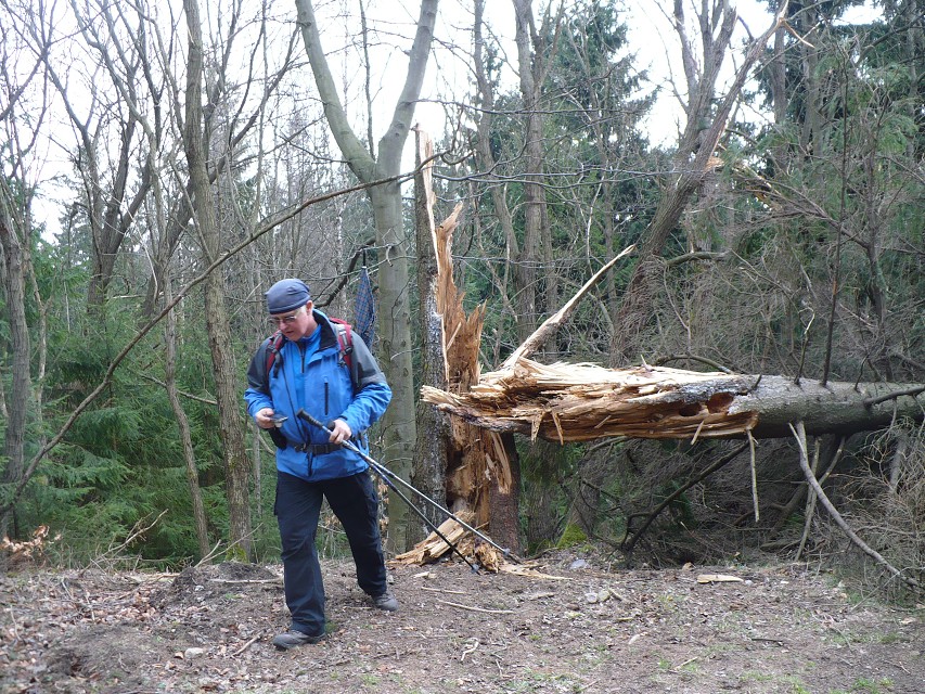 img00007.jpg