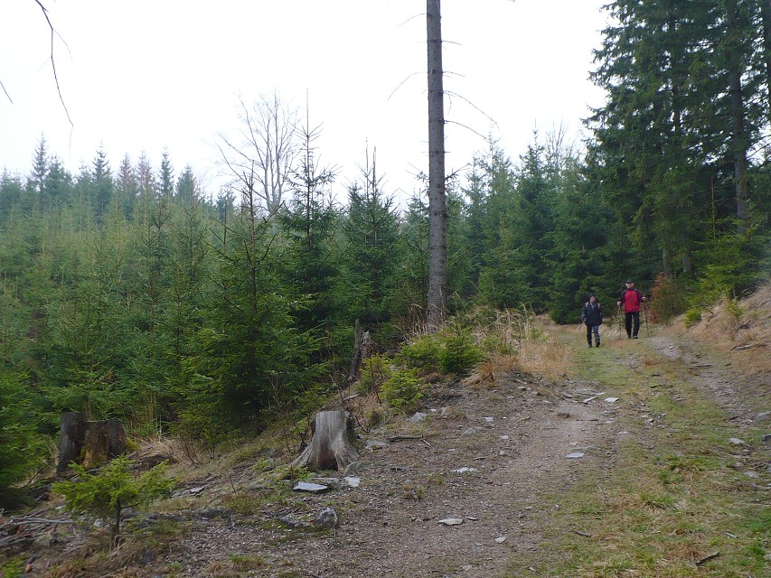 img00016.jpg