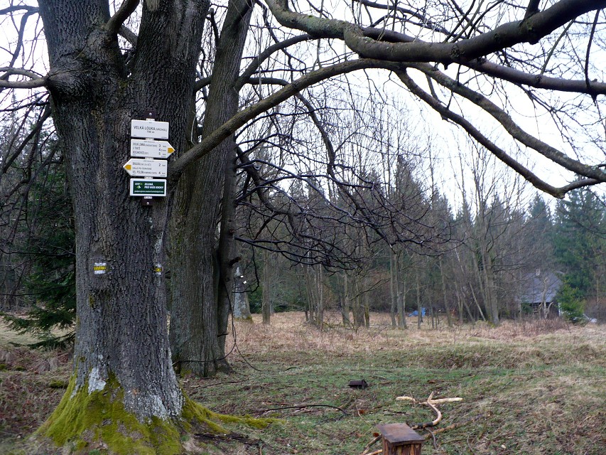 img00020.jpg