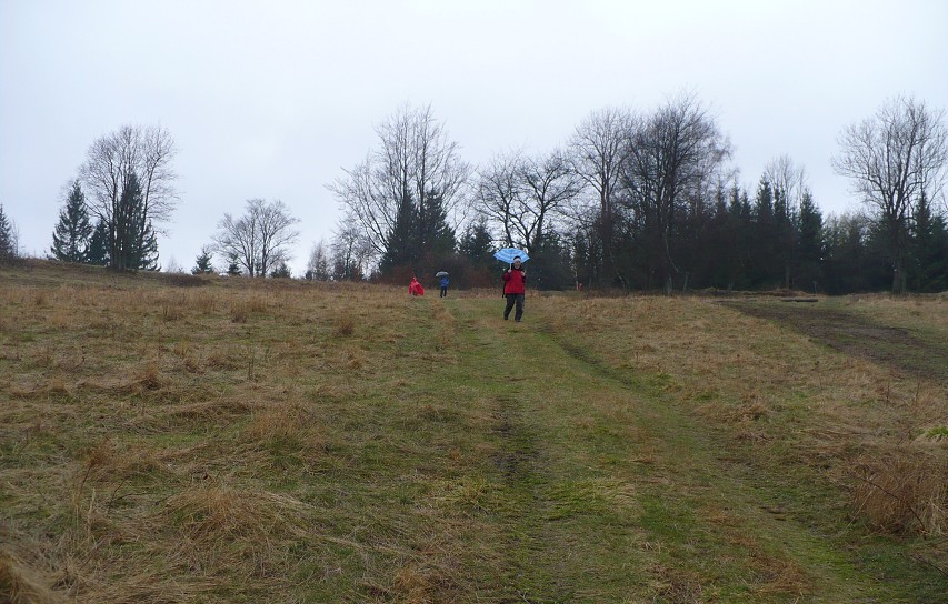 img00021.jpg