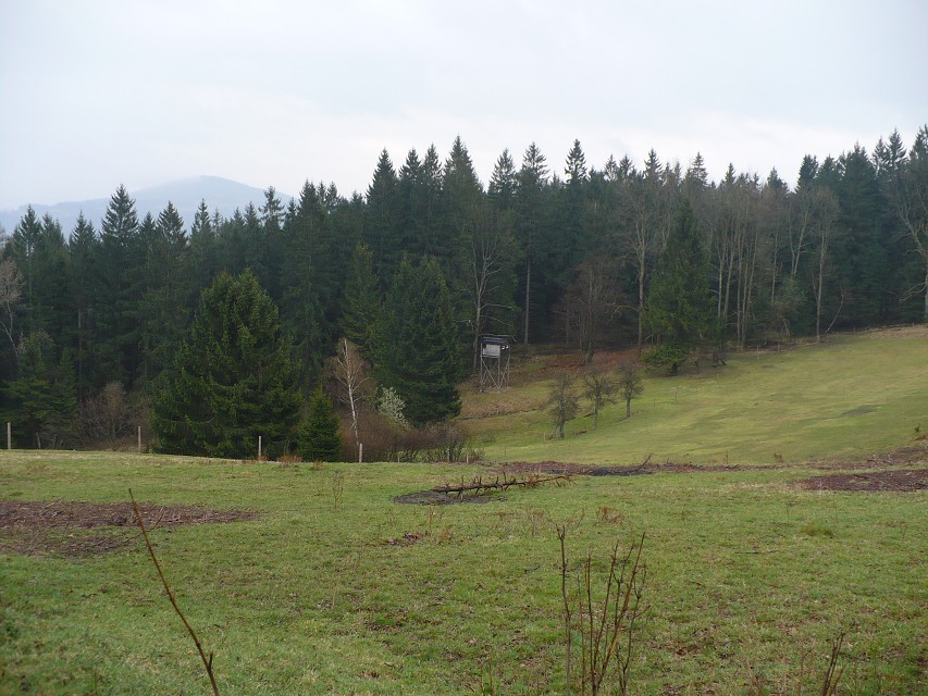 img00022.jpg