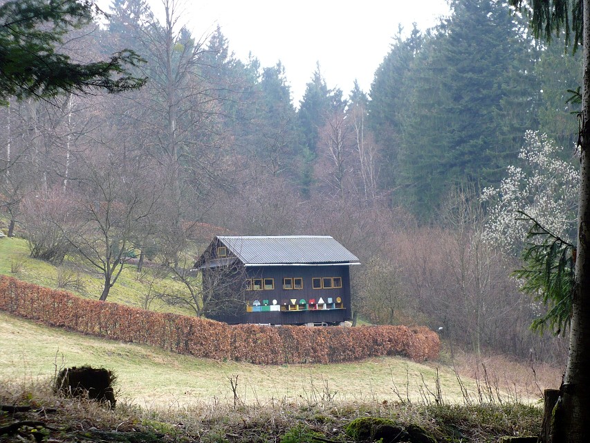 img00024.jpg