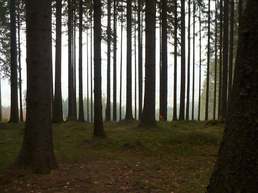 img00025.jpg