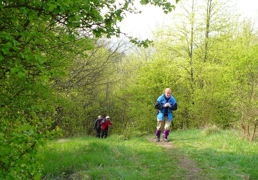 img00010.jpg
