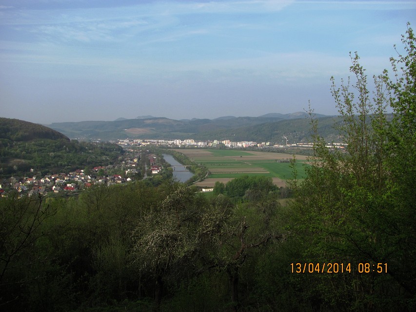 img00011.jpg