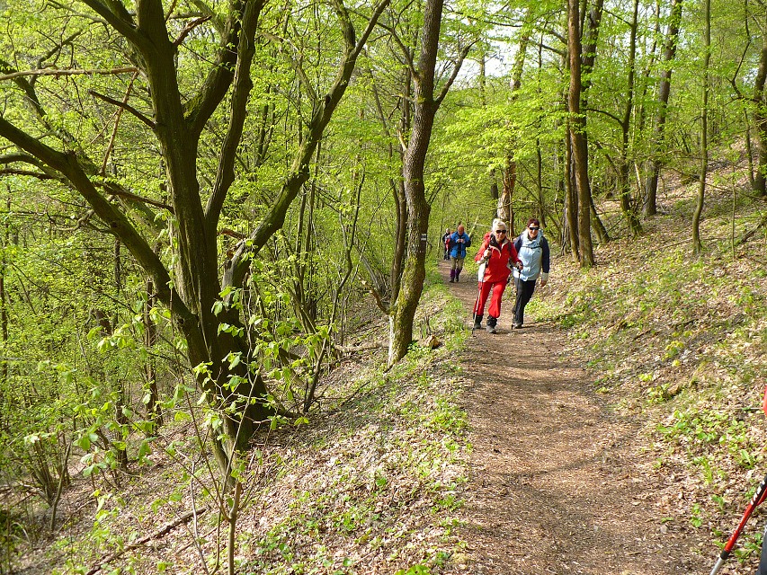 img00013.jpg