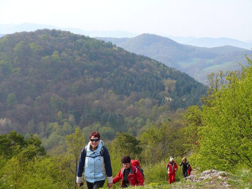 img00018.jpg