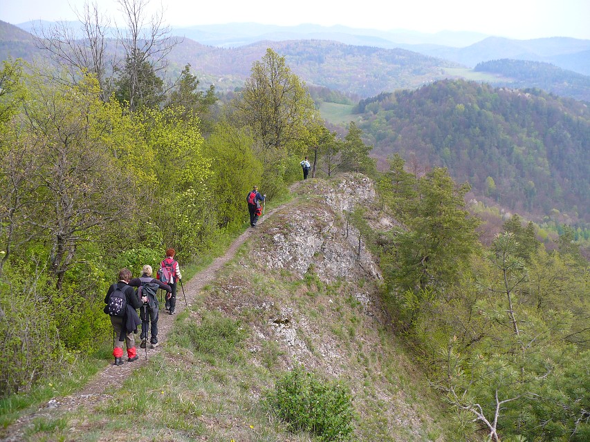 img00026.jpg
