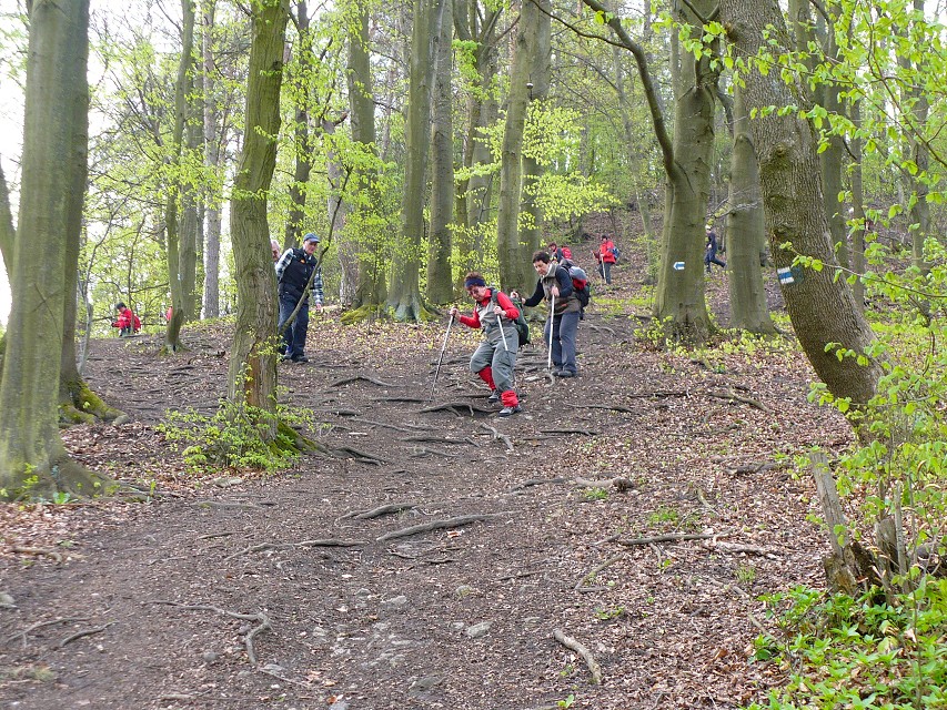 img00029.jpg
