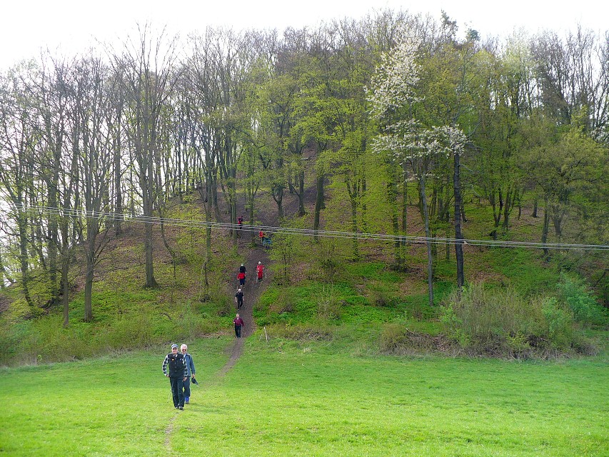 img00030.jpg