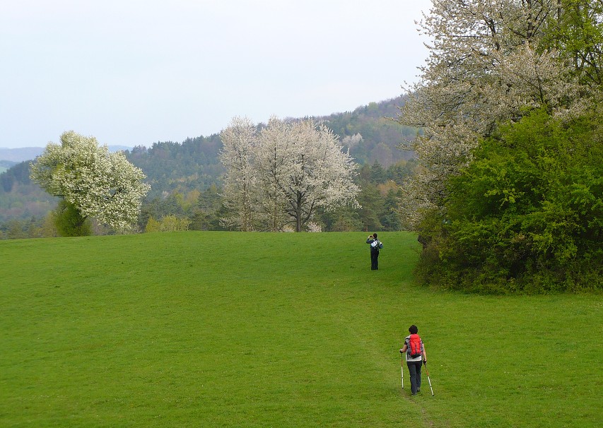 img00031.jpg