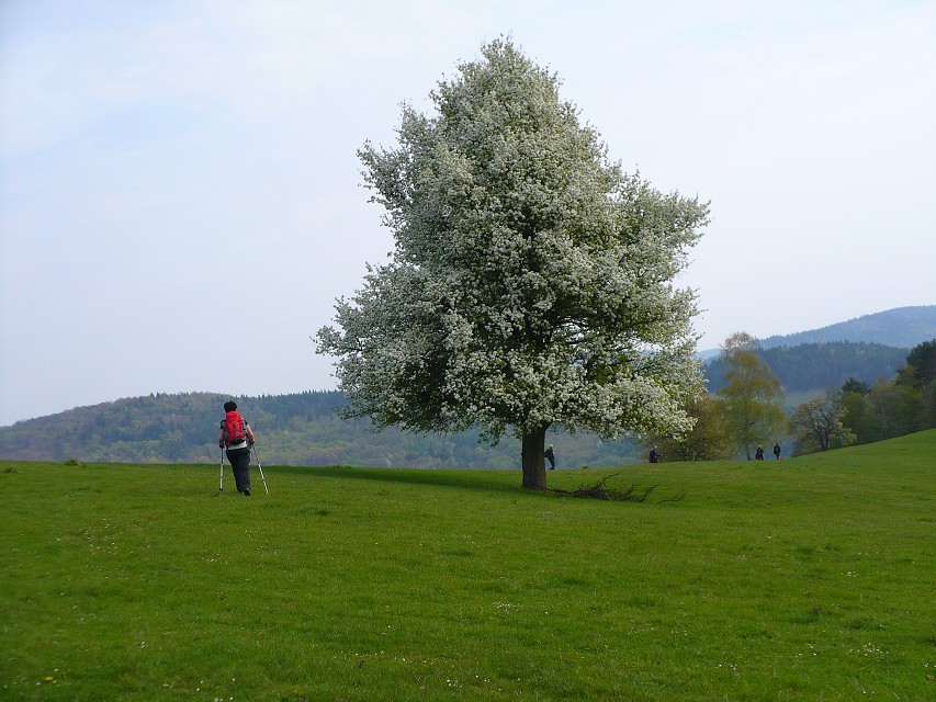 img00037.jpg