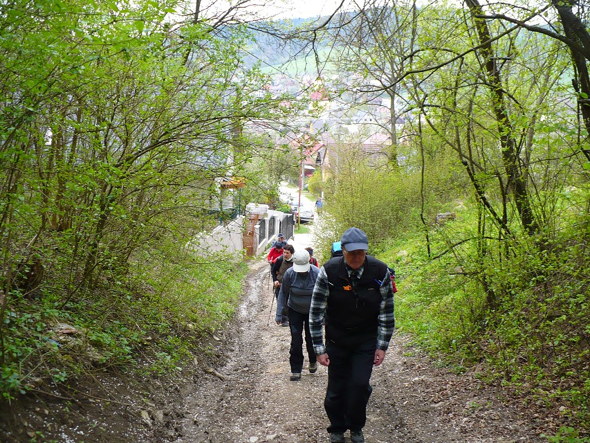 img00049.jpg