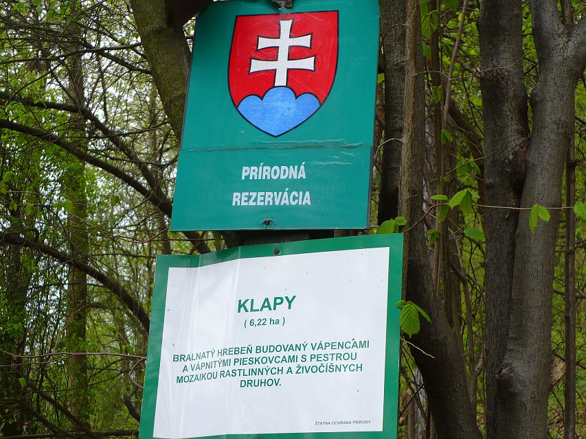 img00054.jpg