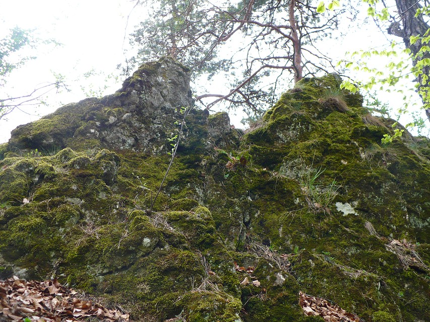 img00061.jpg