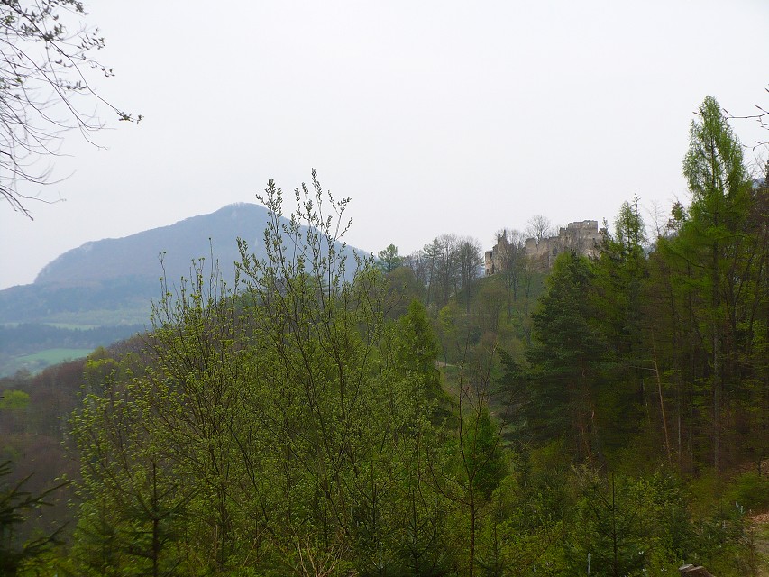 img00092.jpg