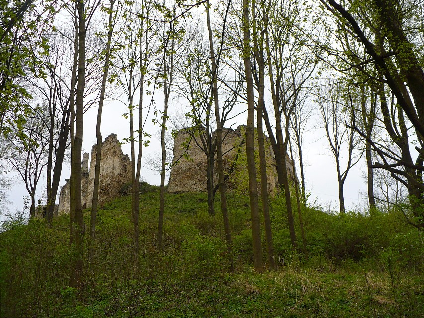 img00094.jpg