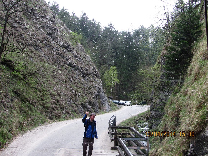 img00108.jpg