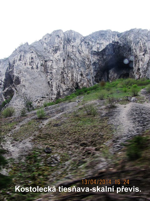 img00109.jpg