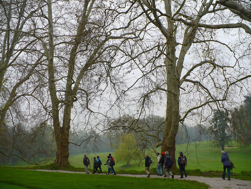 img00014.jpg