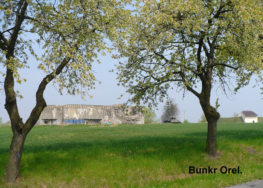 img00037.jpg