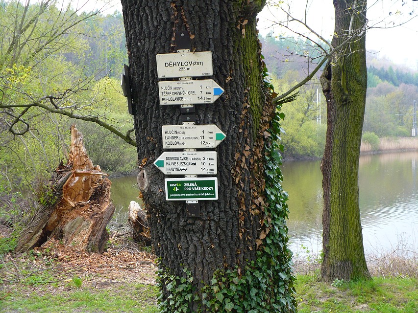 img00055.jpg
