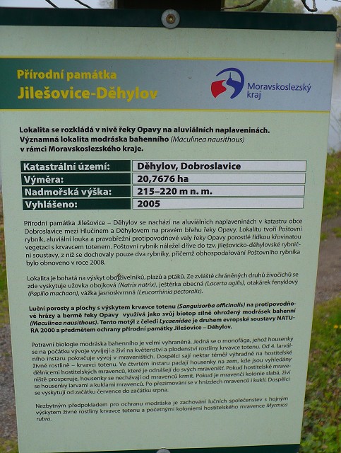 img00056.jpg