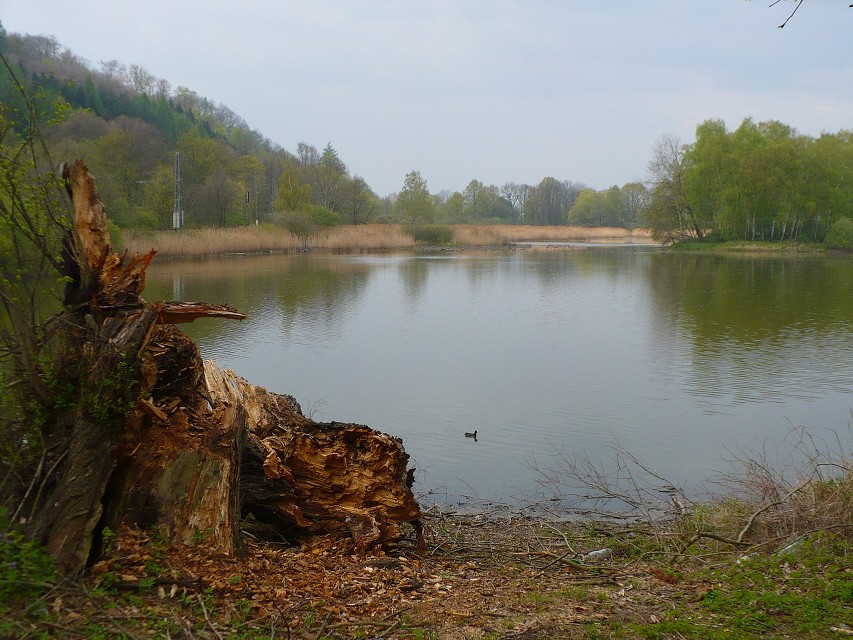 img00057.jpg