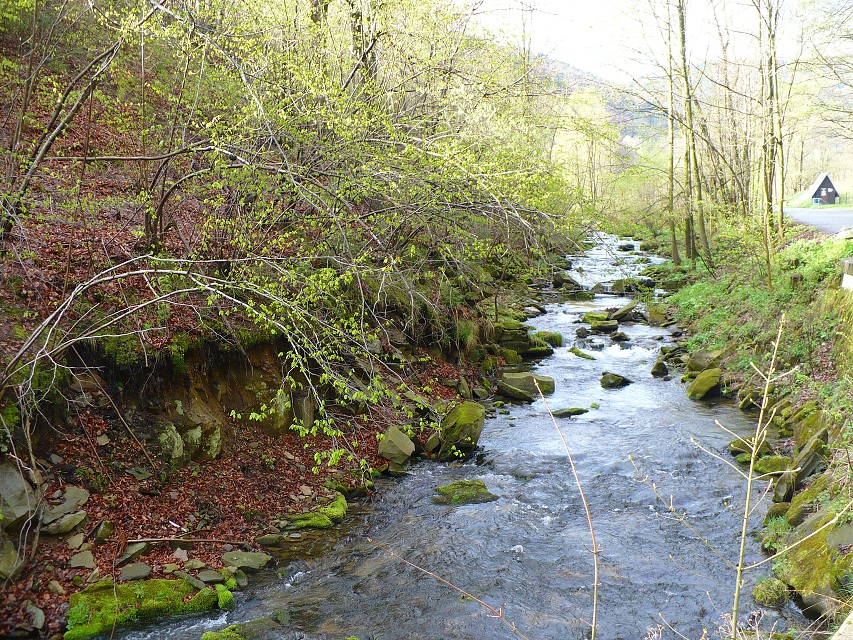 img00002.jpg