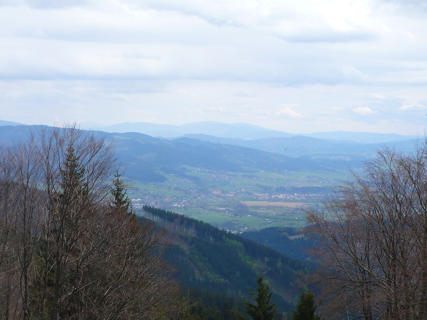img00017.jpg