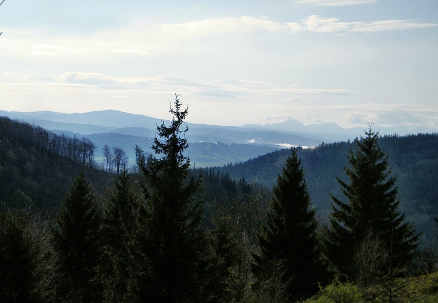 img00032.jpg
