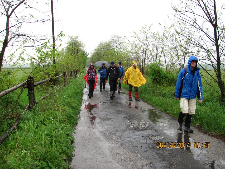 img00002.jpg