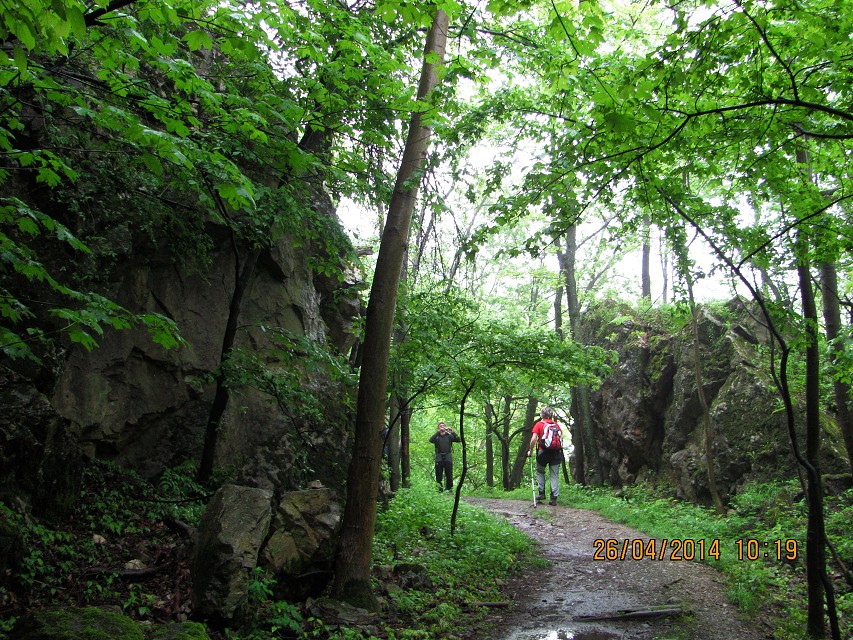 img00004.jpg