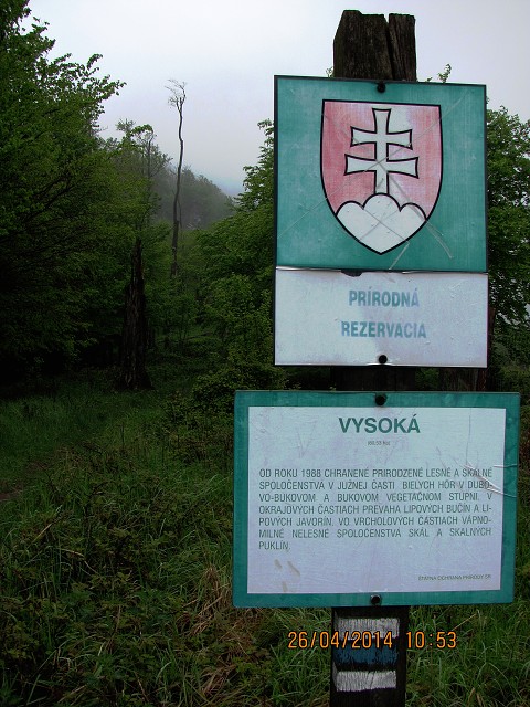img00006.jpg