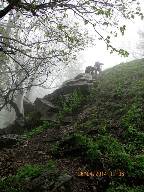 img00009.jpg