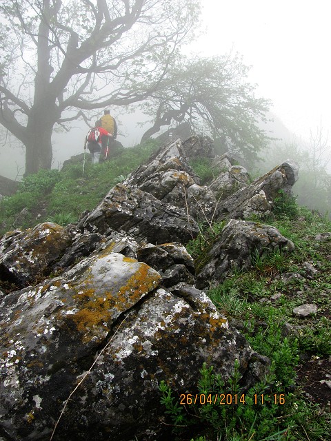 img00011.jpg