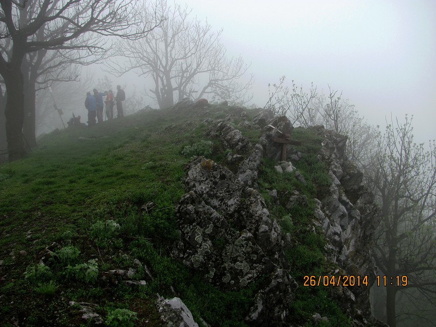 img00013.jpg
