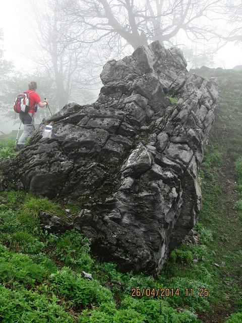 img00017.jpg