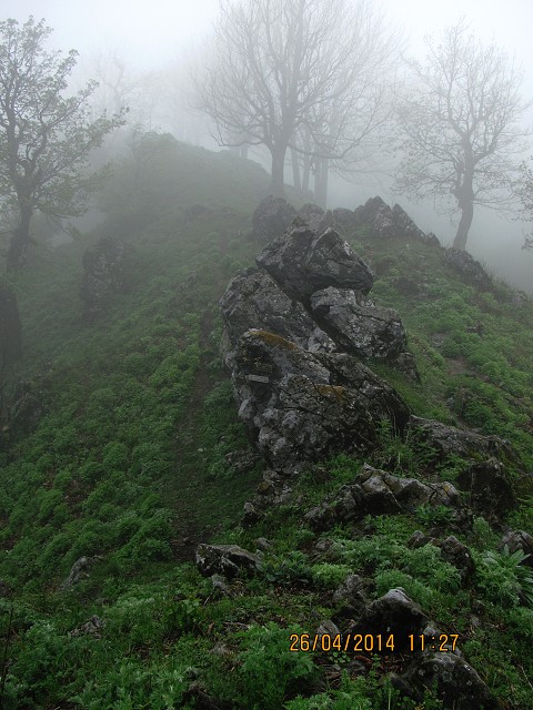 img00019.jpg