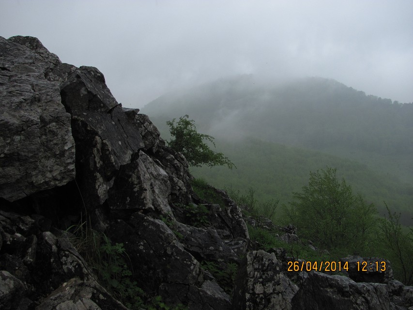 img00023.jpg