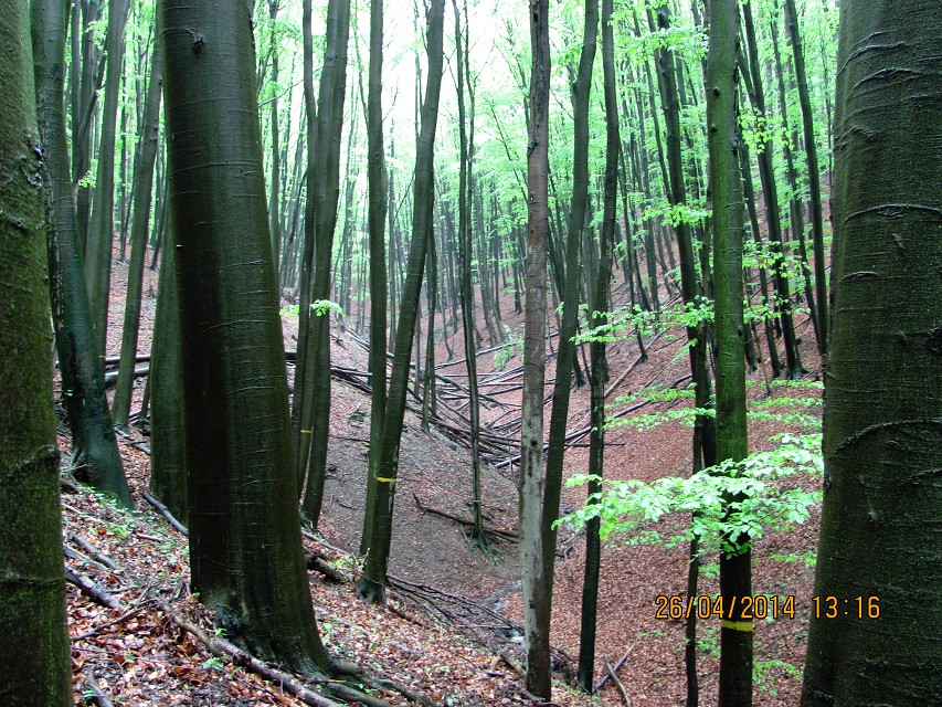img00027.jpg