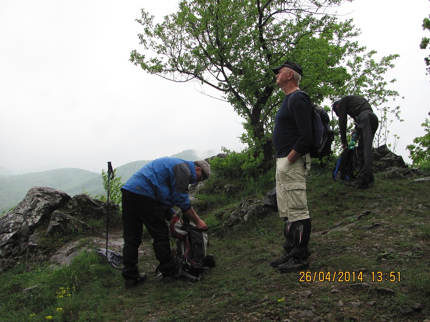 img00031.jpg