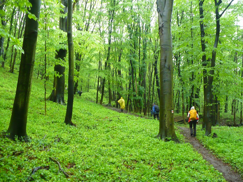 img00046.jpg