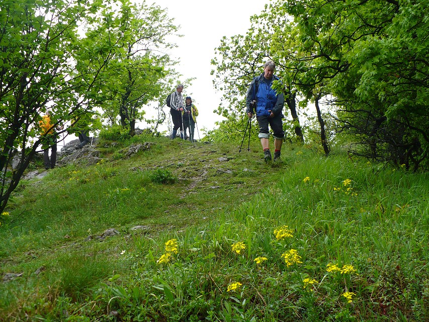 img00050.jpg