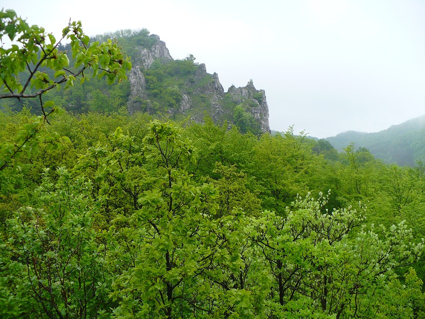 img00053.jpg