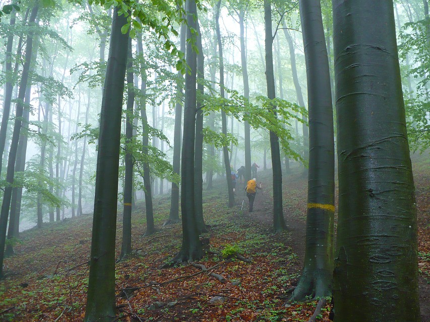img00055.jpg